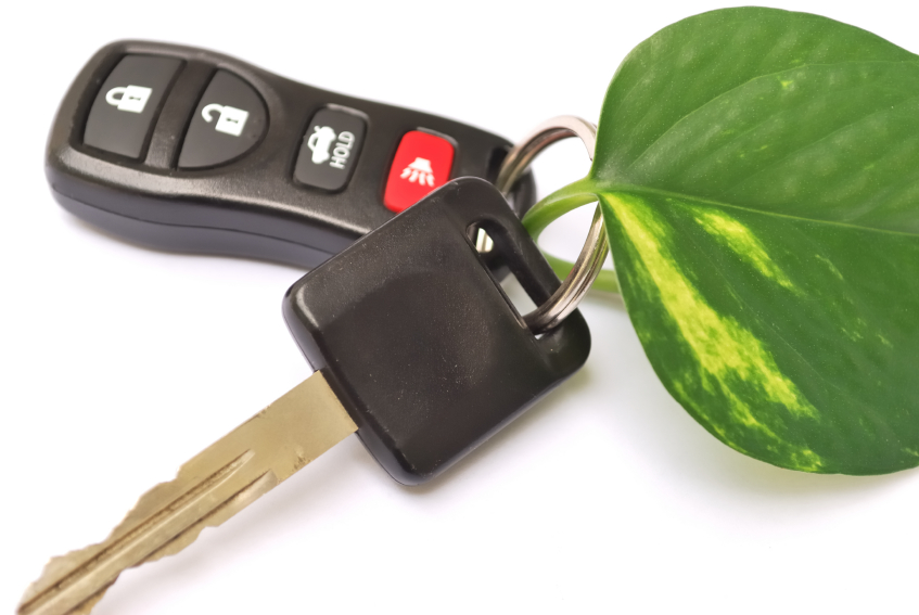 Go green to save money, help the Earth