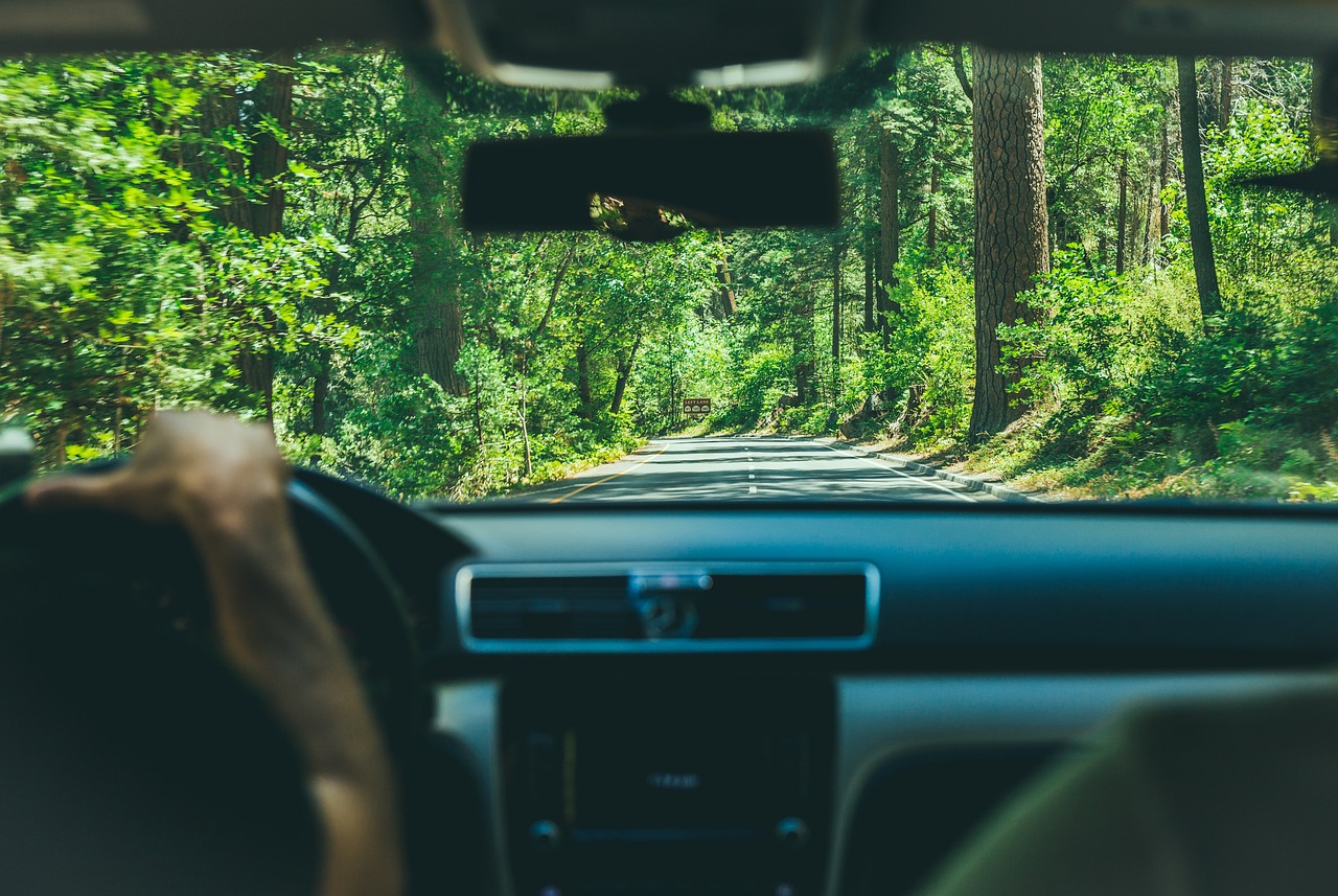 Top 5 National Park Vacays That You Can Drive To